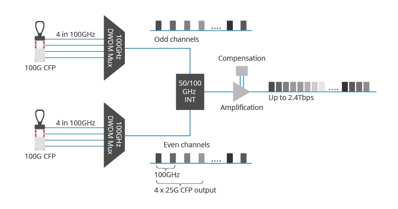 DWDM Network