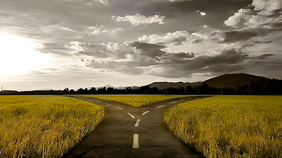 What Is Fiber Optic Coupler and How Does It Work? FS Community