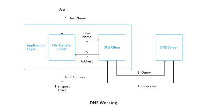 Настройка dhcp и dns