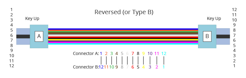 Fiber Optic Systems: Market, Connectors, and Installment 