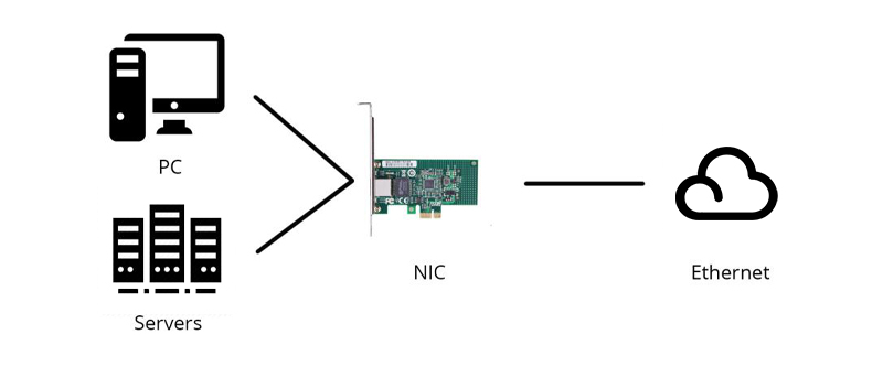 network cards & adaptors